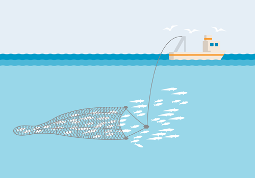 File:Midwater trawl-500.png