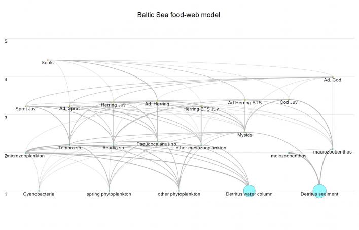 Baltic REVHYPOX, altered by MG Baltic Sea food-web model.jpeg
