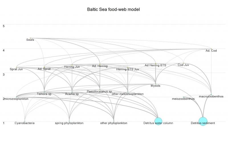 File:Baltic REVHYPOX, altered by MG Baltic Sea food-web model.jpeg